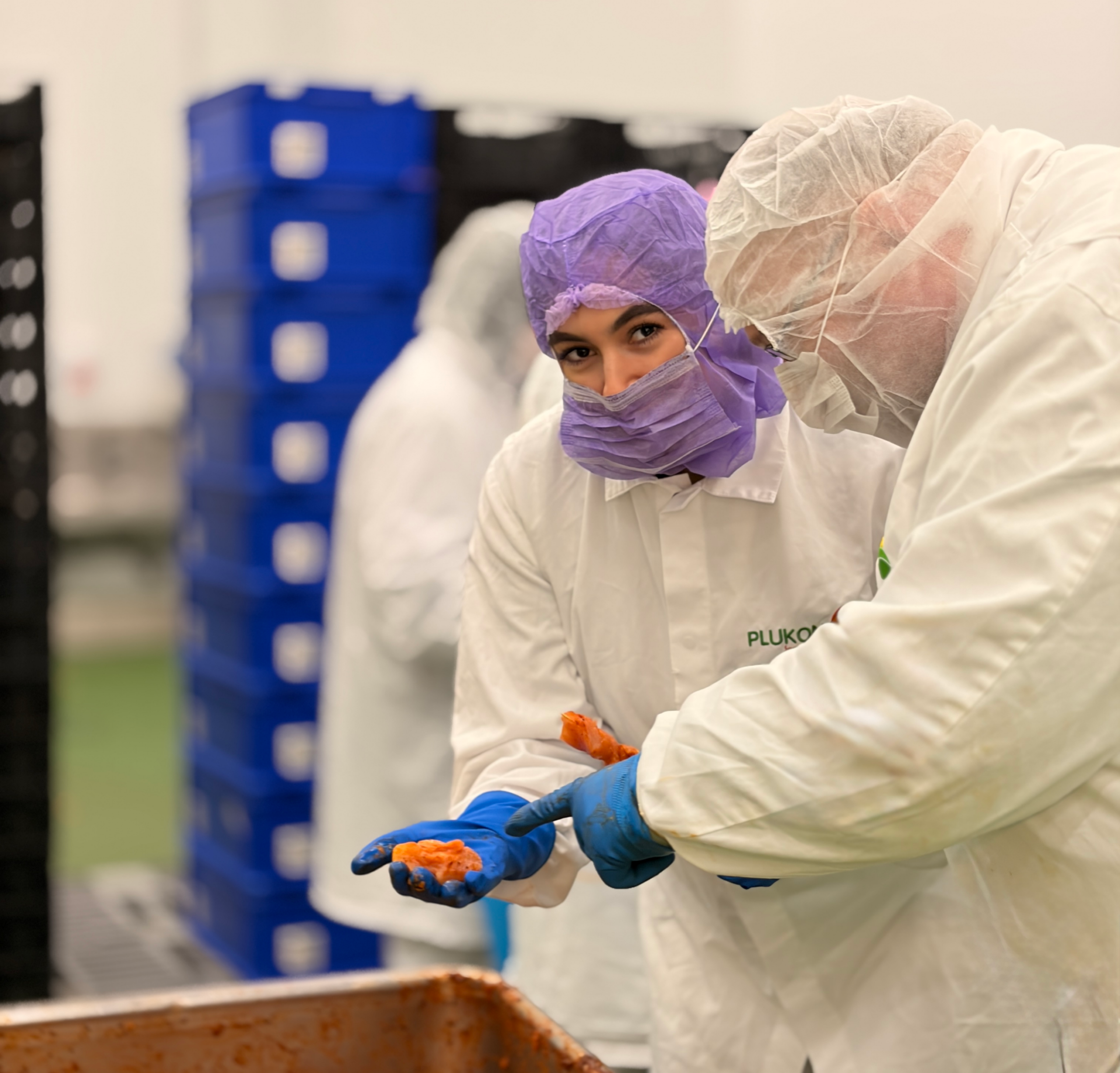 Productie